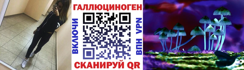 продажа наркотиков omg ссылка маркетплейс официальный сайт Новая Ладога Псилоцибиновые грибы прущие грибы