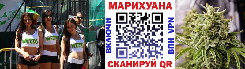 Канабис план  кракен   Новая Ладога 
